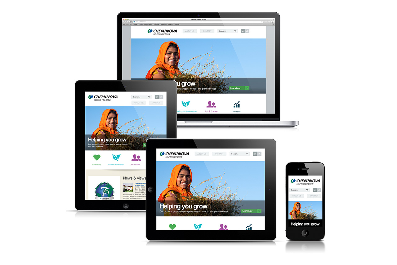 Cheminova responsive website design.
